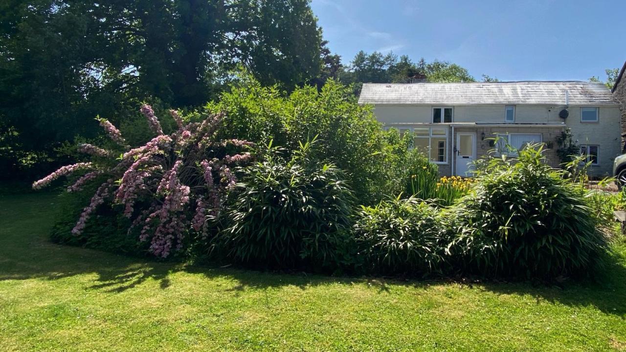 Silhouette Cottage Coleford  Bagian luar foto