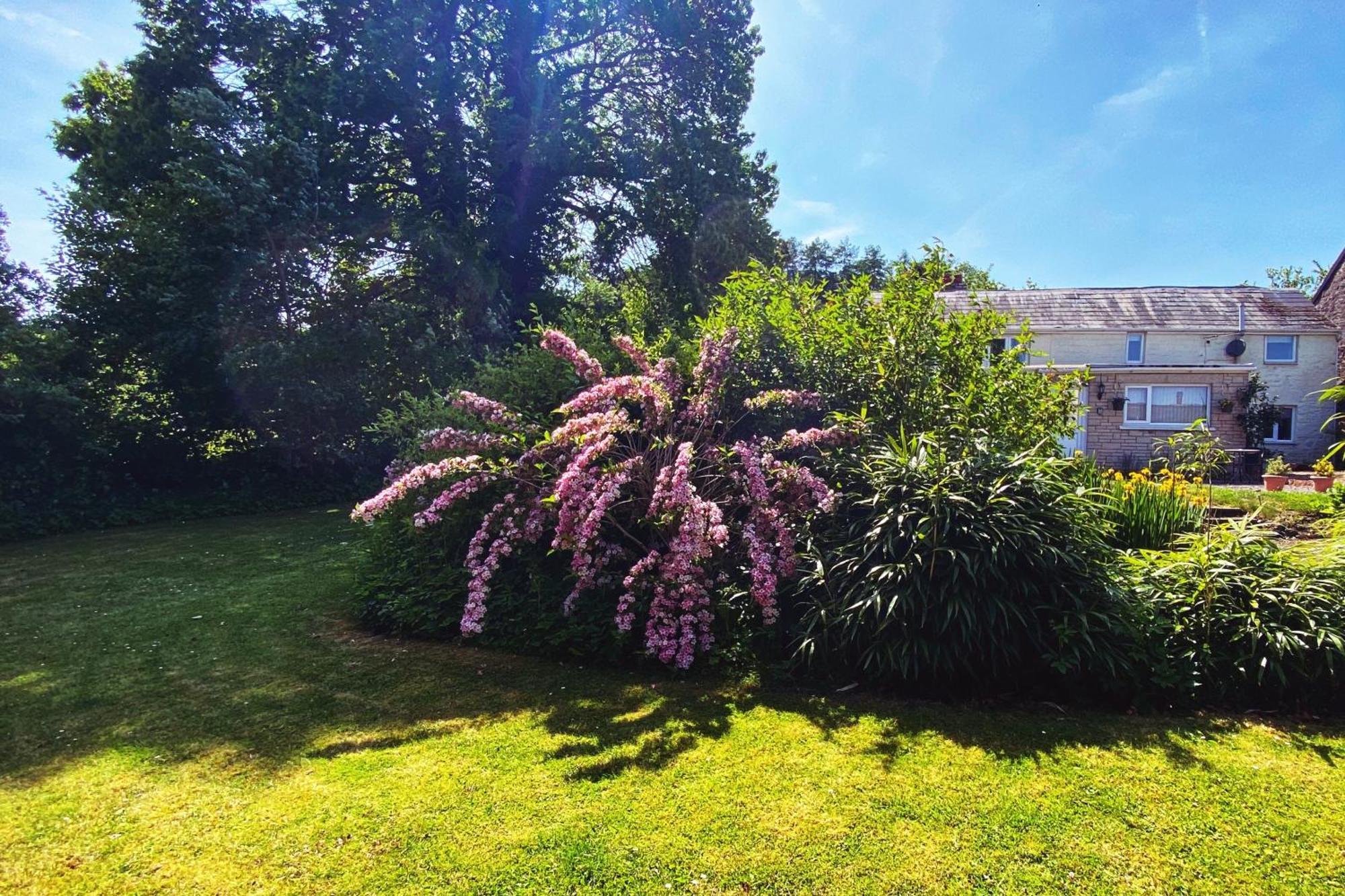 Silhouette Cottage Coleford  Bagian luar foto