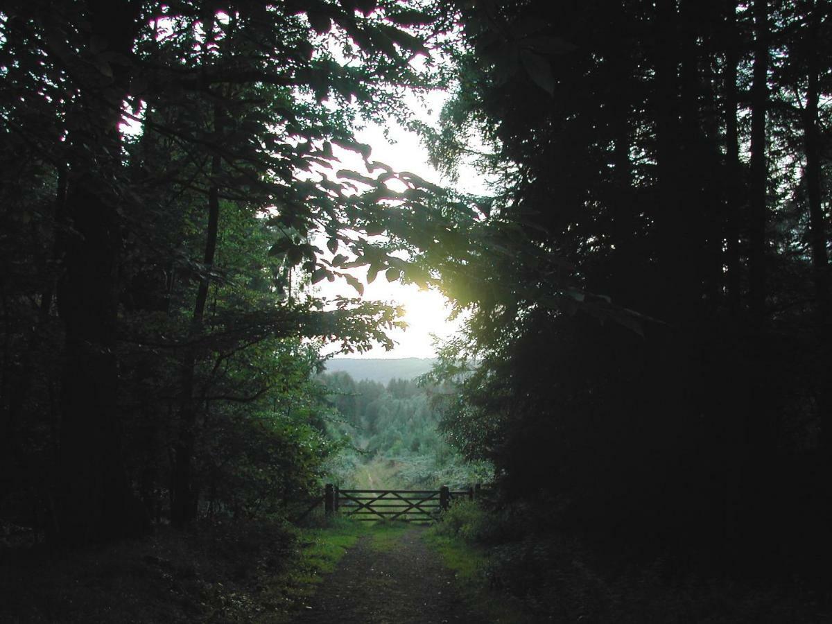 Silhouette Cottage Coleford  Bagian luar foto
